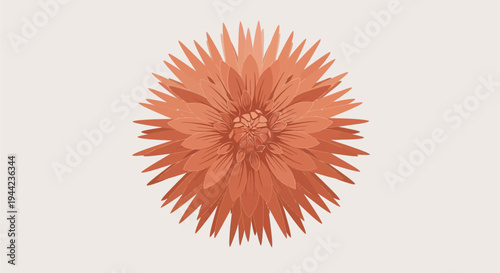 Close up of orange flower bloom.