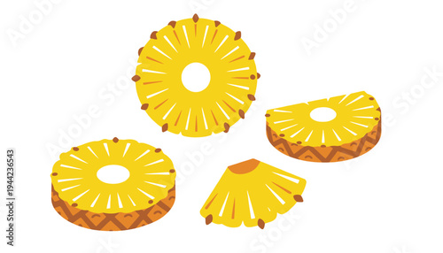 Pineapple vector illustration of slices and a whole fruit