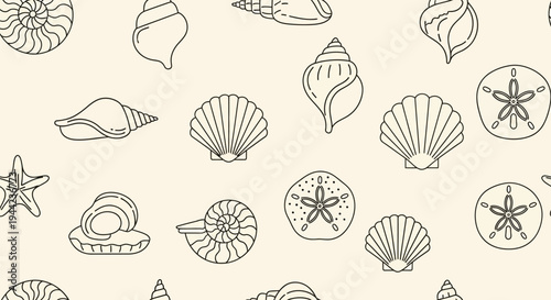 Seashells and starfish line art collection.