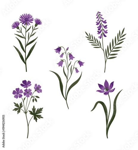 Set of beautiful purple wildflower elements, hand-drawn floral collection perfect for design projects and botanical illustrations