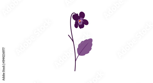Purple flower with single leaf stem.