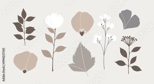 Collection of various leafy plant structures.
