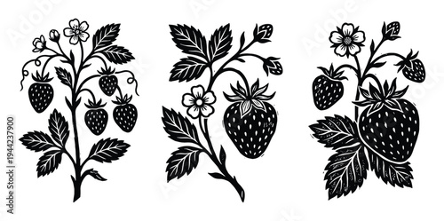 Strawberry plant branches with fruits flowers and leaves black silhouette