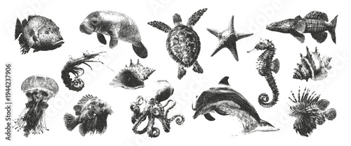 Vintage ocean halftone photocopy effect elements  for creating collages. Dolphin, turtle, octopus, seashell, sea fish, seashell with grunge punk gritty texture. Stipple effect vector illustration.