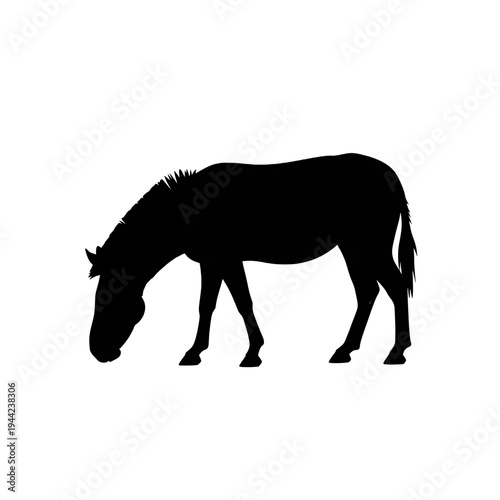 Black Silhouette of a Horse Grazing.