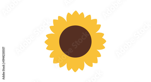 Sunflower illustration with yellow petals.
