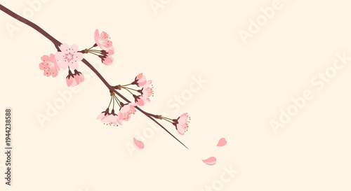 Pink Cherry Blossom on Branch.