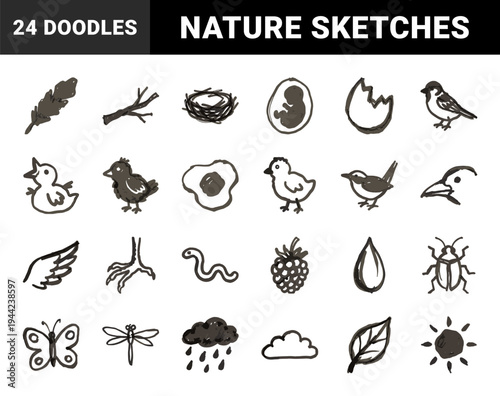 Hand-drawn nature and ornithology elements for organic brand identity. Rustic, naive marker sketch illustrations featuring birds, nests, and weather concepts.