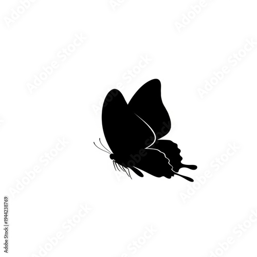 Black Butterfly Silhouette Flying in Air.