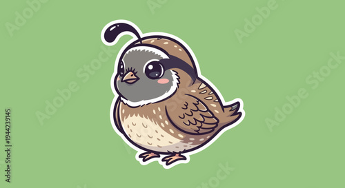 Chubby Cartoon Quail on Green Background