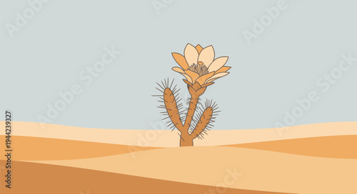 Desert Cactus Flower Blooming Alone.