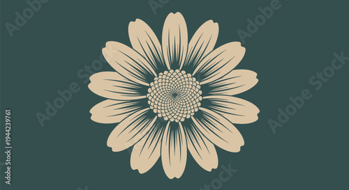 Beautiful white flower close up details.