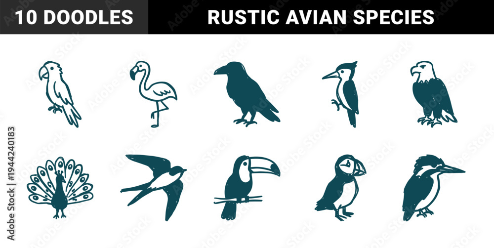 Fototapeta premium Hand-drawn bird species for organic brand identity. Rustic, naive marker sketch illustrations featuring eagle, toucan, and flamingo concepts.