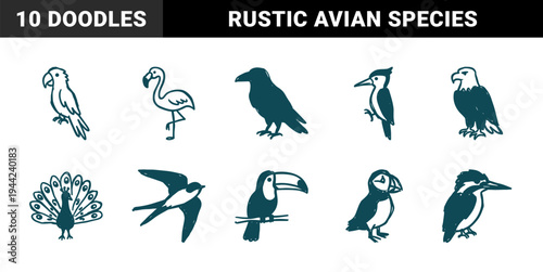 Hand-drawn bird species for organic brand identity. Rustic, naive marker sketch illustrations featuring eagle, toucan, and flamingo concepts.