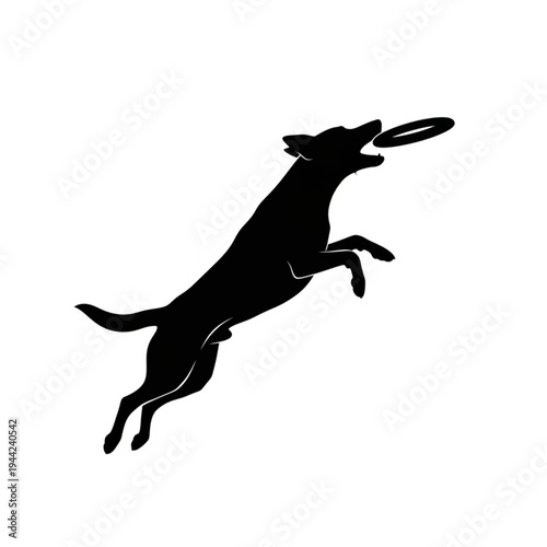 Dog Catching Frisbee in Mid Air Jump.