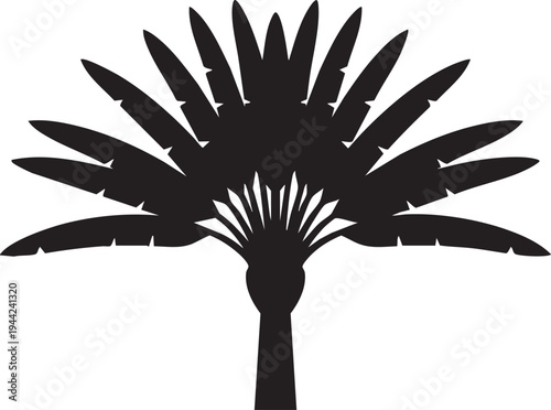 Madagascar Travellers Palm Fan Leaf Silhouettes