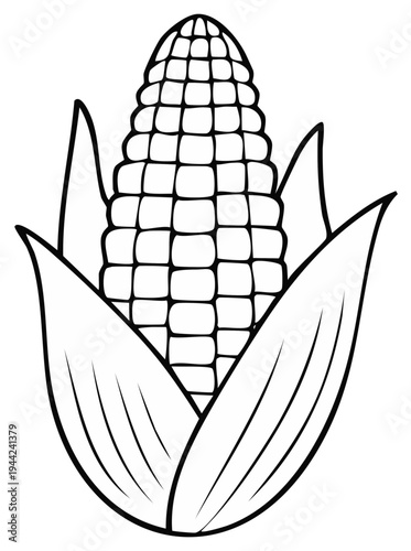 Black and White Illustration of a Freshly Harvested Corn Cob with Husk