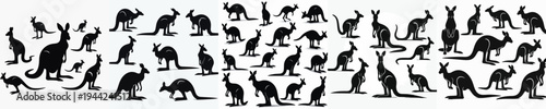 Vector set image silhouette of kangaroo
