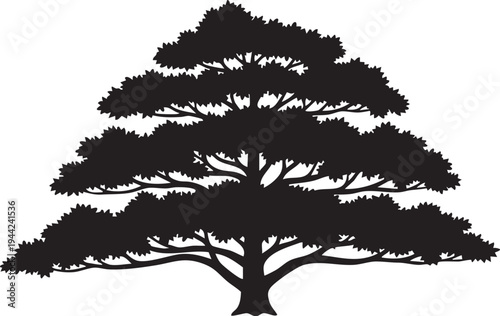 Flowering Dogwood Tree Horizontal Branching Layer Silhouettes