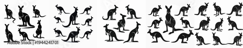 Vector set image silhouette of kangaroo
