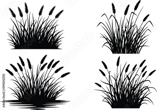 Wild grass and wheat plant silhouettes set, natural meadow foliage with spikes botanical vector illustration isolated on white background