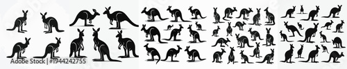Vector set image silhouette of kangaroo