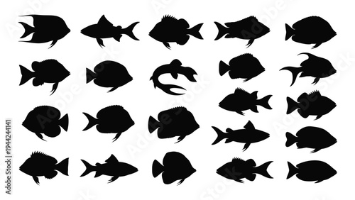 Comprehensive analysis of diverse fish species silhouettes in a single frame
