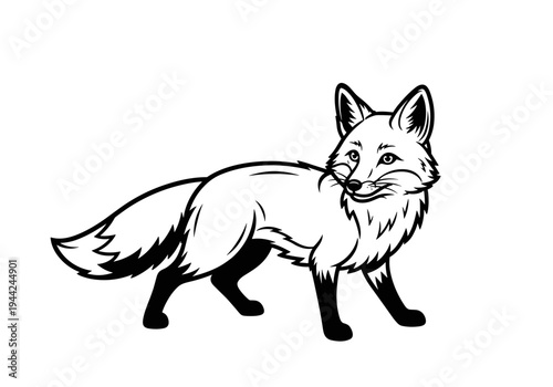 Stylized Line Art Illustration of a Fox Standing Proudly.