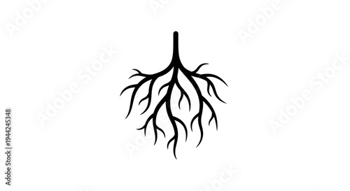 Minimalist Stylized Black Root System Illustration on White Background - Nature, Growth, Foundation Concept