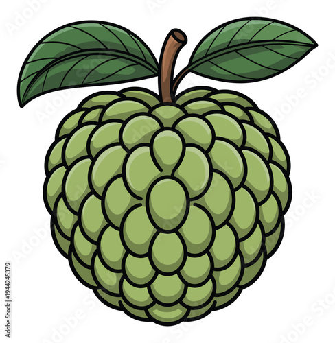 Cartoon of a green custard apple with two leaves