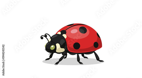 Cute ladybug insect walking slowly outside.