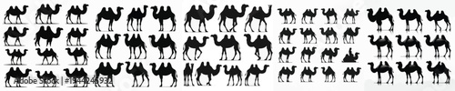 Vector set image silhouette of camel