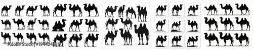 Vector set image silhouette of camel