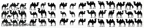 Vector set image silhouette of camel