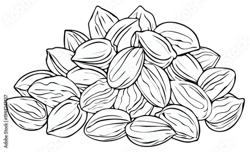 Hand-drawn illustration of a pile of shelled almonds with subtle line details