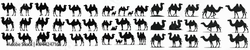 Vector set image silhouette of camel
