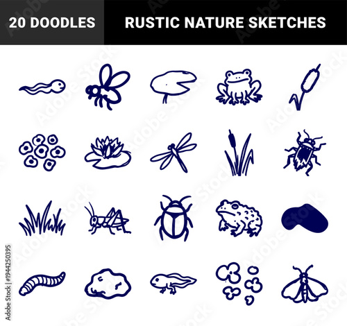 Hand-drawn pond life and amphibian elements for nature branding. Rustic, naive marker sketch illustrations featuring frog growth cycles and insects.