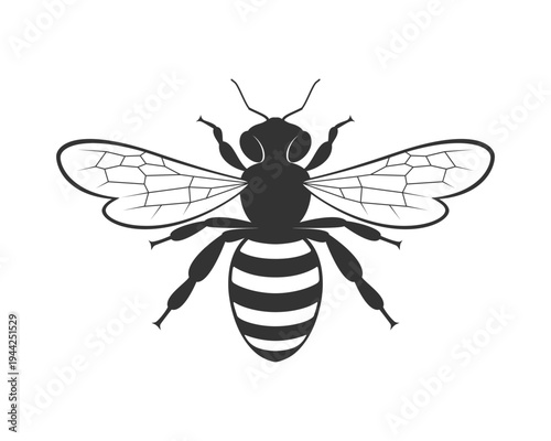 Bee graphic icon. Honey bee isolated sign on white background. Symbol of beekeeping. Vector illustration