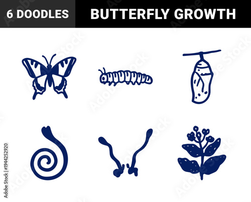 Hand-drawn butterfly life cycle and metamorphosis elements for educational branding. Naive navy blue marker sketch illustrations featuring caterpillar and chrysalis.
