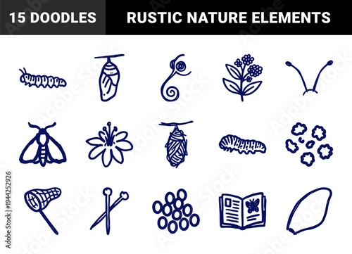 Hand-drawn butterfly life cycle and entomology elements for educational branding. Rustic, naive marker sketch illustrations featuring monarch metamorphosis concepts.