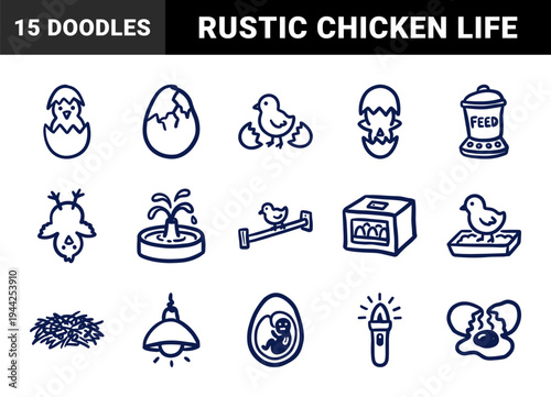 Hand-drawn poultry farming and chicken life cycle elements in a naive doodle style. Rustic marker sketch illustrations for agricultural branding.