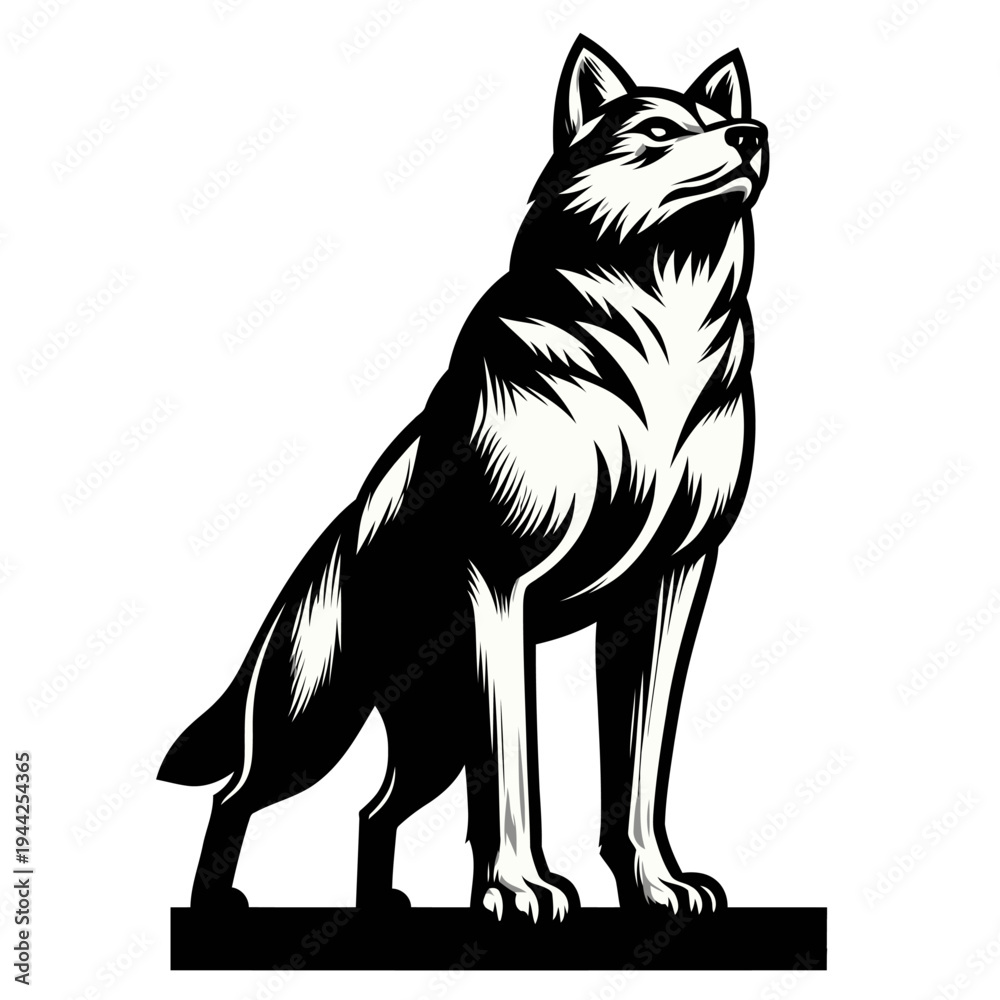 Obraz premium Wolf vector and illustration.