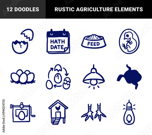 Hand-drawn poultry farming and egg incubation elements for organic agriculture branding. Rustic, naive marker sketch illustrations of chicken life cycle.