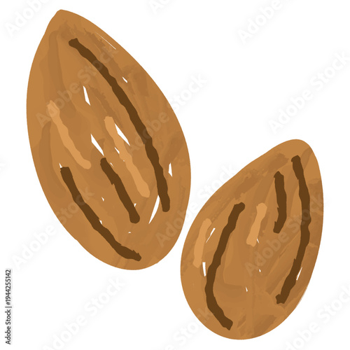 アーモンドの手描き風イラスト