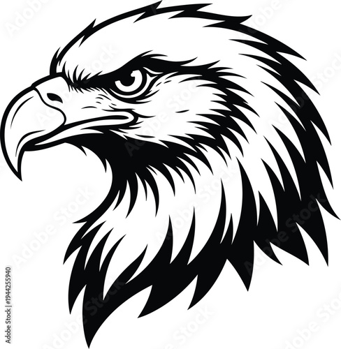 Black outline coloring book Black and white eagle head graphic illustration