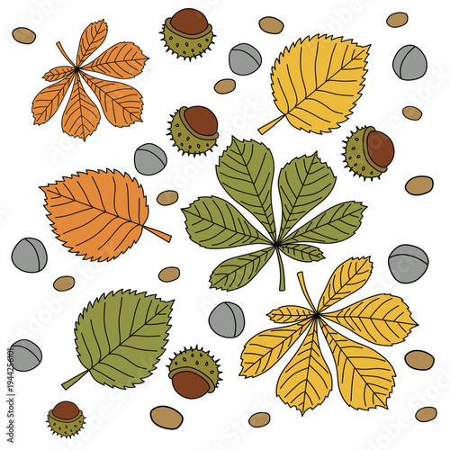 Autumn Handdrawn Various Horse Chestnut Leaf and Seed Element Pattern