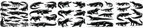 Vector set image silhouette of crocodile