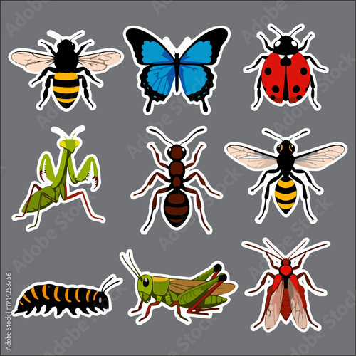 Cartoon Insect Sticker Set – Butterfly, Ant, Grasshopper, Bee, Beetle, Ladybug and Dragonfly Vector Icons