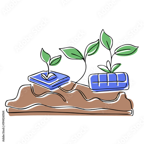 Plants growing in soil with geometric planters and green leaves  