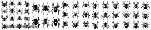 Vector set image silhouette of spider